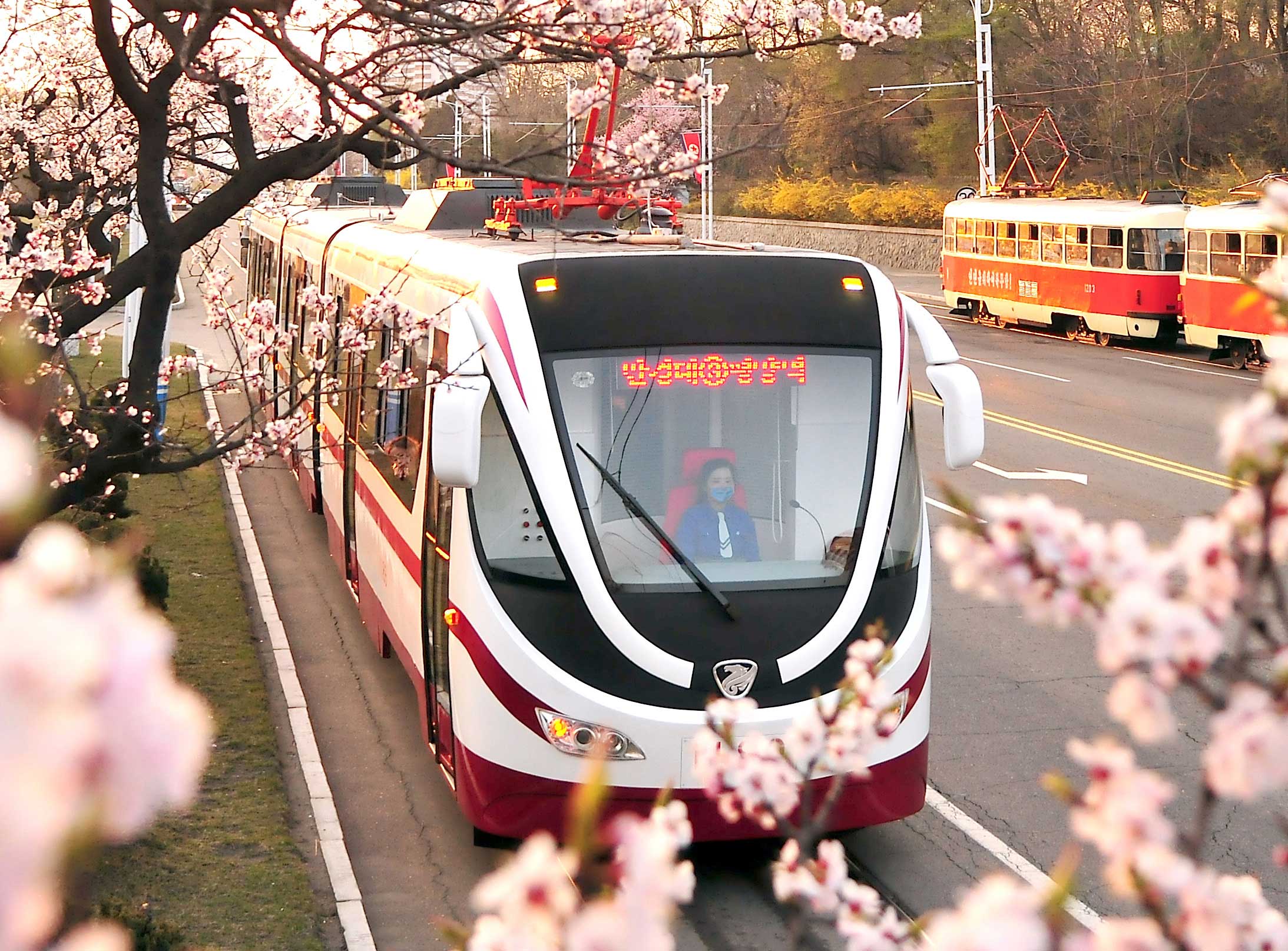 2-자력자강의 창조물 (1)